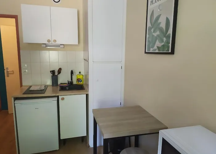 公寓 Fonctionnel Proche 图尔